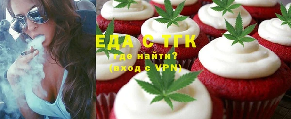 индика Нижний Тагил