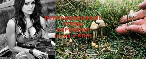 apvp Верея