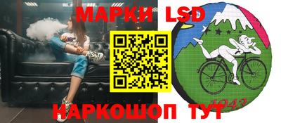 стафф Гатчина