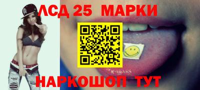 стафф Гатчина