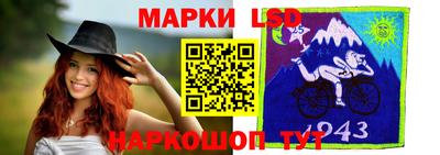 стафф Гатчина