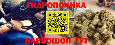 стафф Гатчина