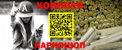 стафф Гатчина
