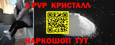 стафф Гатчина