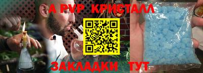 стафф Гатчина
