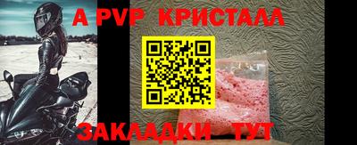 стафф Гатчина