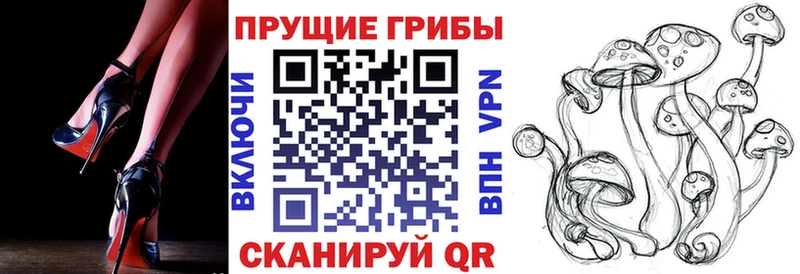 купить наркотик Ирбит Галлюциногенные грибы GOLDEN TEACHER