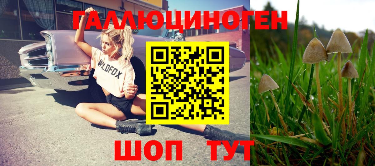 Ирбит  Псилоцибиновые грибы прущие грибы  Вход с VPN 