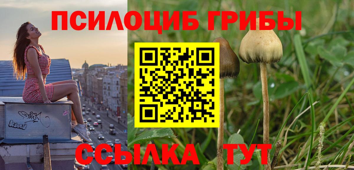 Ирбит  Вход с VPN  Alpha-PVP  MDMA  Гарик  Меф  Ешки  Кокаин  Каннабис 