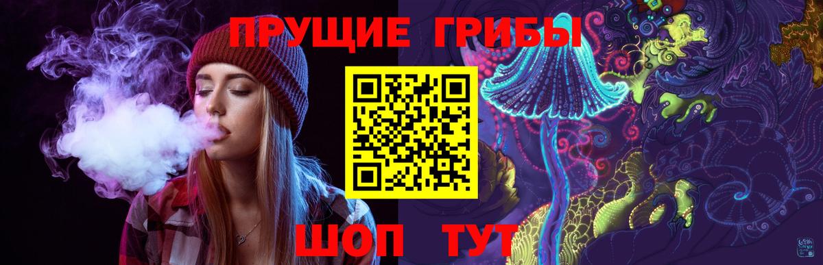 Псилоцибиновые грибы Cubensis Ирбит